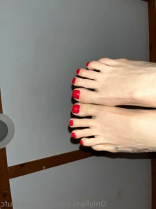 15589986