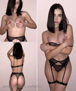 15556365