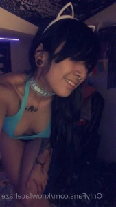 16290504