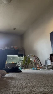 15504077