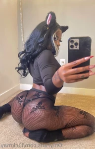 16136629