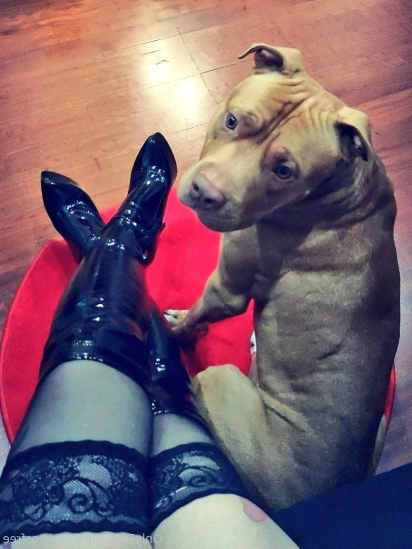 Hot Domme 💦🔞😈 [ ladykaosfree ] Onlyfans leaked photo 11189764 on Hotleaks.tv