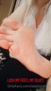 15237595