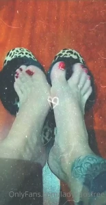 15502819