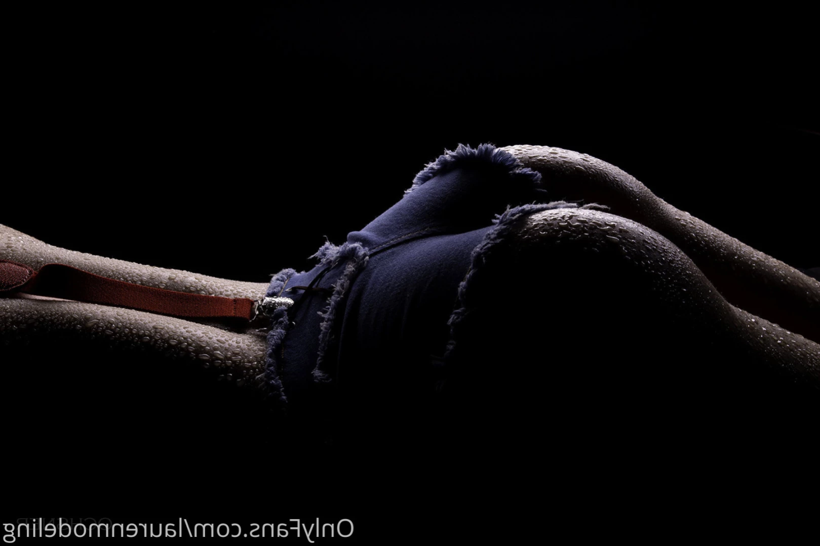 Lo [ laurenmodeling ] Onlyfans leaked photo 13520394 on Hotleaks.tv