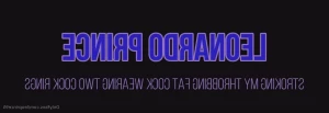 15300677