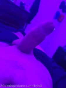 16322049