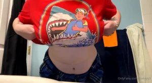 13684241