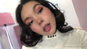 15058648