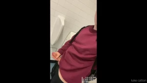 16168073