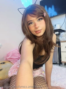 16281575