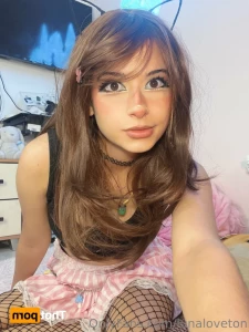 16315360