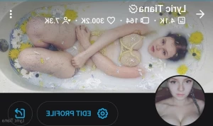 16316825