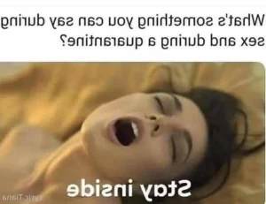 16321741
