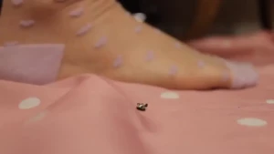 11398236