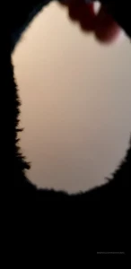 15749204