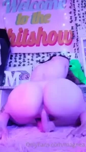 18091388