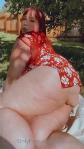 15694681