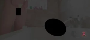 11020867