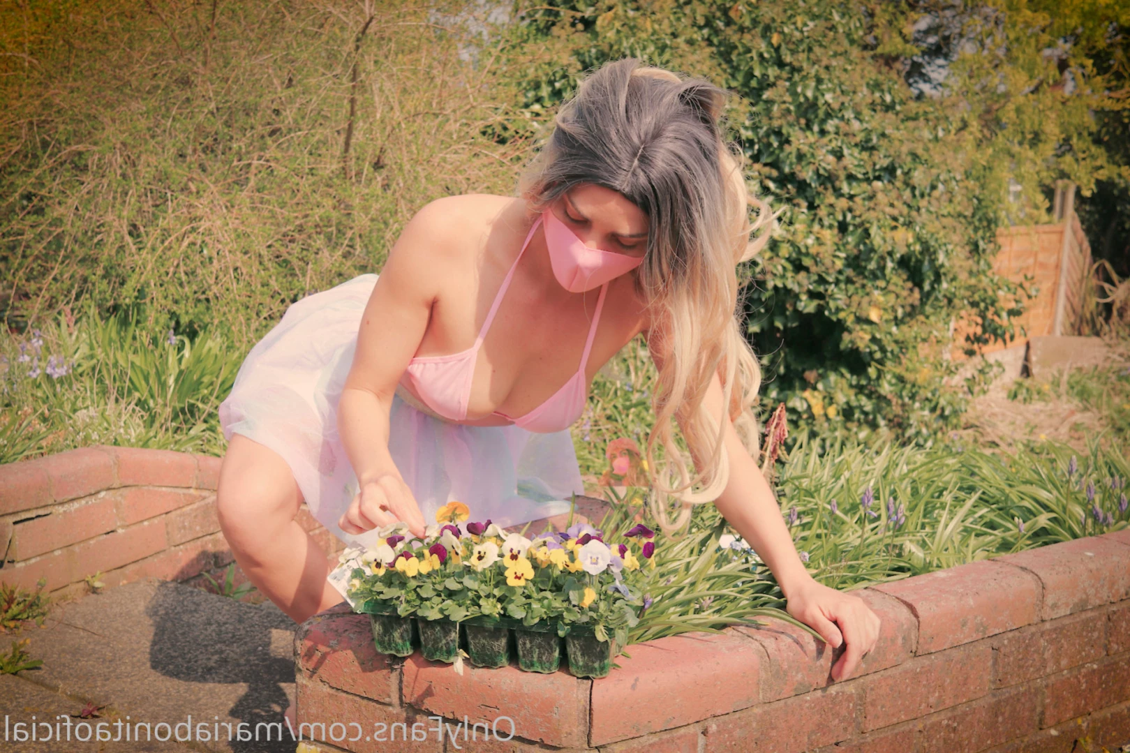 Maria Bonita [ mariabonitaoficial ] Onlyfans leaked photo 14340233 on Hotleaks.tv