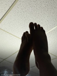 13679318