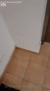 16274167