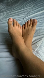 15698868