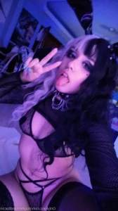 15231721