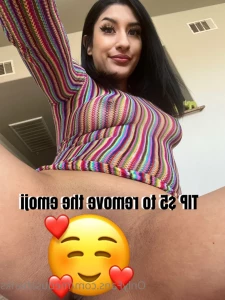 15355681