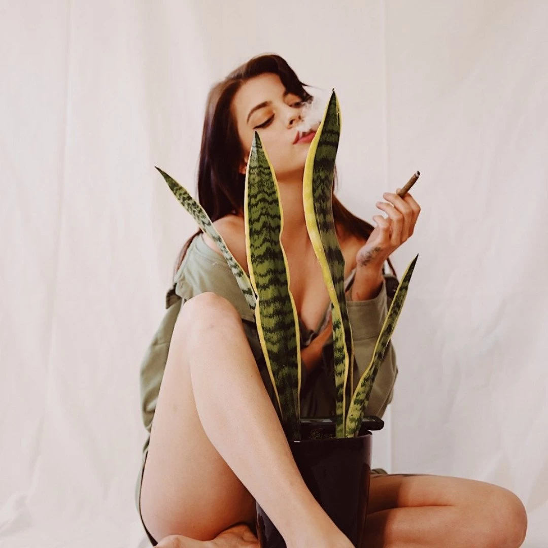 Olivia Wildin 📸 [ oliviawildin ] Onlyfans leaked photo 938975 on Hotleaks.tv