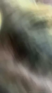 𝔅𝔲𝔤𝔞𝔱𝔱𝔦 𝔗𝔥𝔬𝔱𝔱𝔦𝔢 [ merrickdeville ] Onlyfans leaked video 18089841 on Hotleaks.tv
