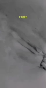 🐱NinjaFuckinKitty🐱 [ miaumiloucb ] Onlyfans leaked video 18089358 on Hotleaks.tv