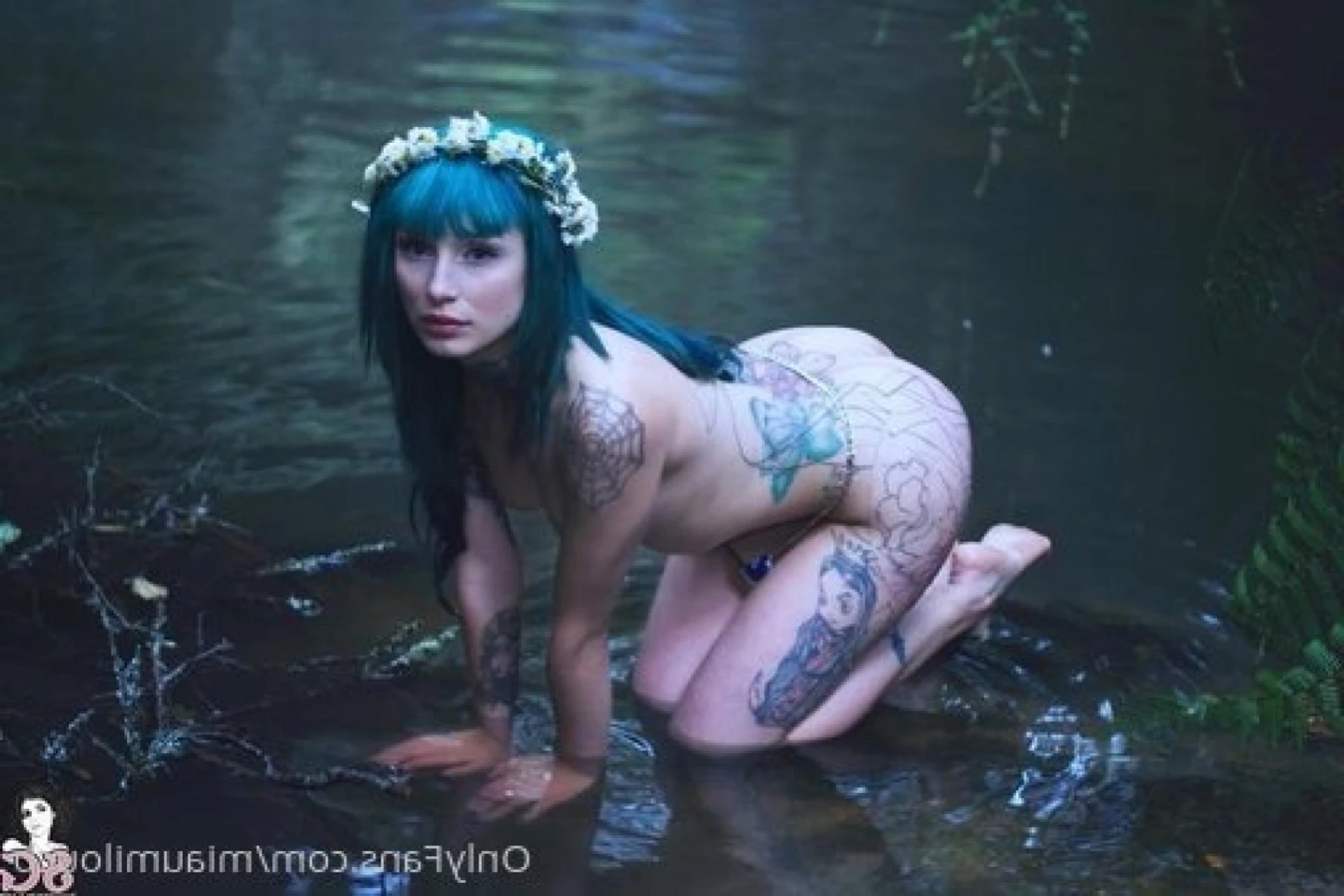 🐱NinjaFuckinKitty🐱 [ miaumiloucb ] Onlyfans leaked photo 13480302 on Hotleaks.tv