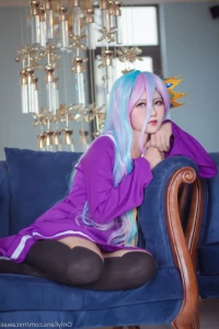 16084706