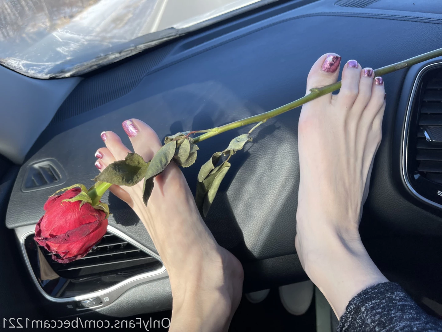 Michigan Cutie VIP 🧡 [ michigancutie ] Onlyfans leaked photo 13443267 on Hotleaks.tv