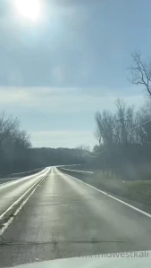 15032831