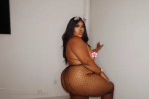 16291521