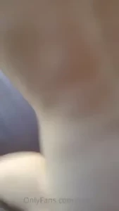 18088134