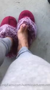 18088016