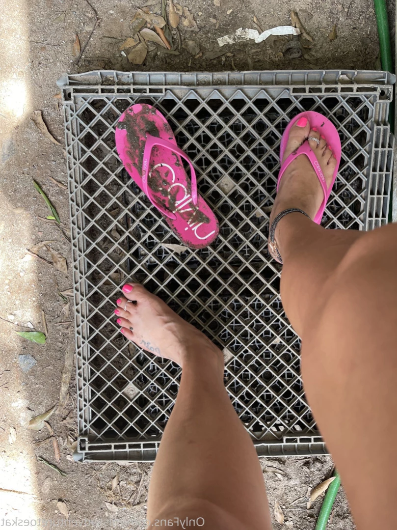 AdventuretoesKat [ missadventuretoeskat ] Onlyfans leaked photo 11174337 on Hotleaks.tv