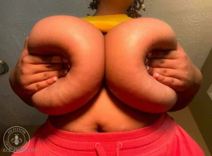12075795