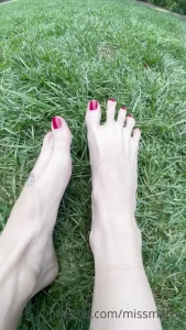 14663441