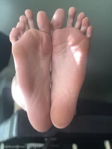 16320867