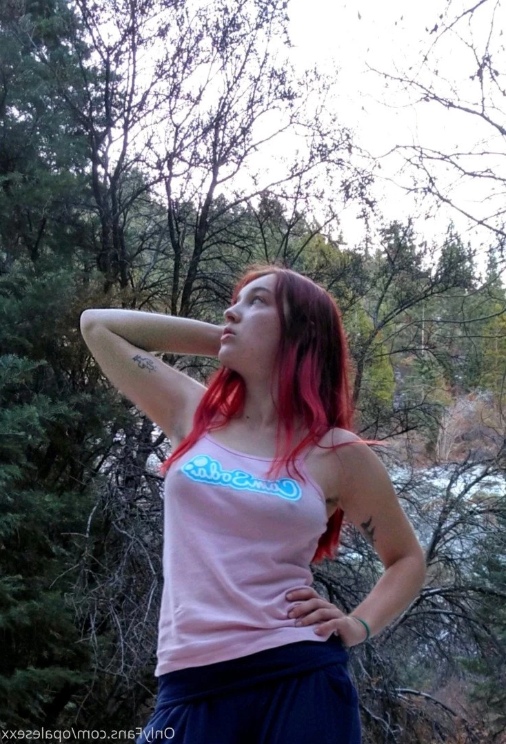 opalesexx Onlyfans leaked photo 4620545 on Hotleaks.tv