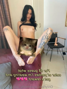 13634623