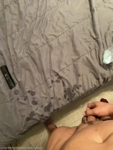 16049966