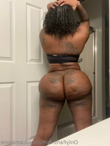 12205520