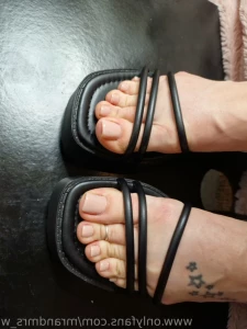 16445482