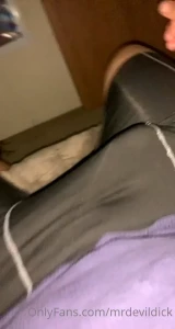 15731228