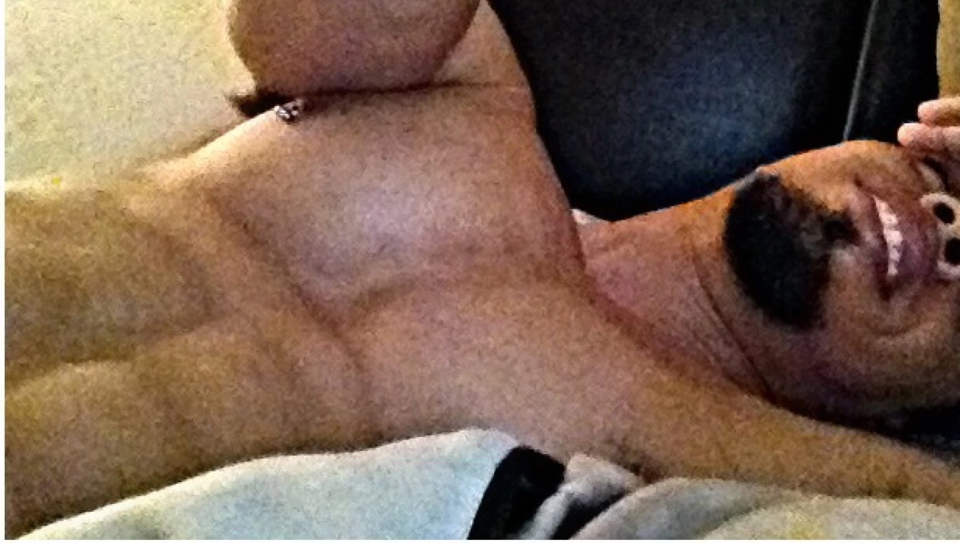 MrDonello 🔥👑 [ mrdonello ] Onlyfans leaked photo 11170729 on Hotleaks.tv